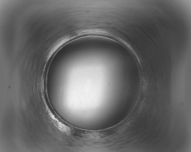 X0000086110999200703231456