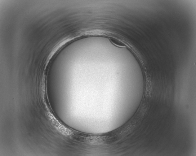 X0000086111000200703231456