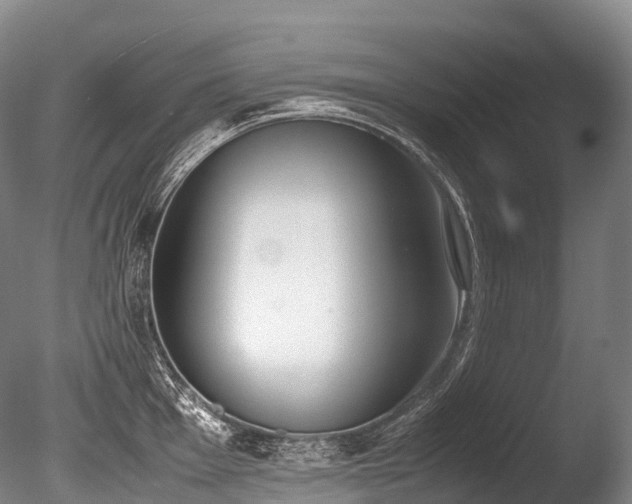 X0000086111001200703231456