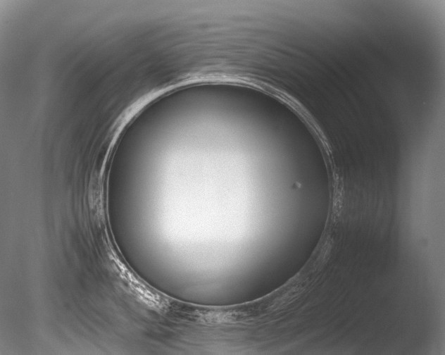 X0000086111004200703231456