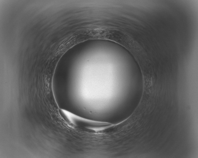 X0000086111013200703231455