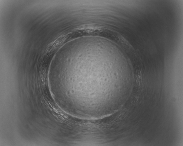 X0000086111014200703231455