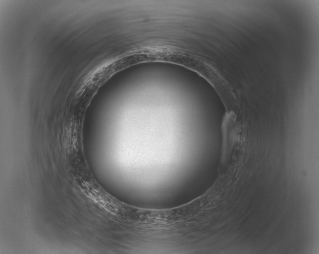 X0000086111016200703231455