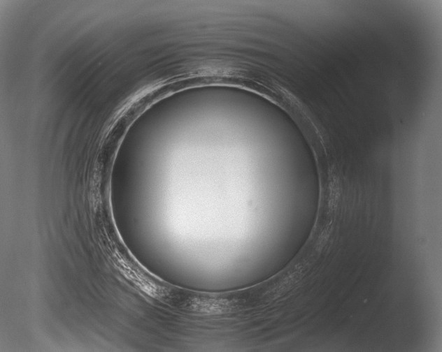 X0000086111019200703231455