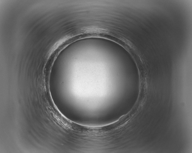 X0000086111022200703231455