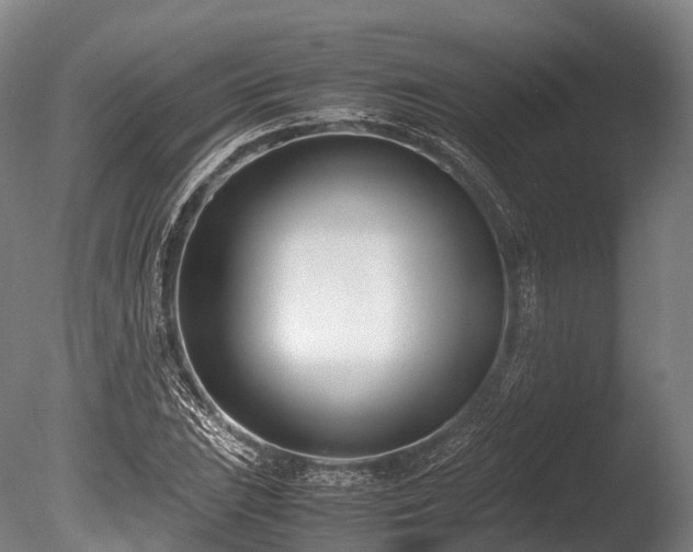 X0000086111023200703231456
