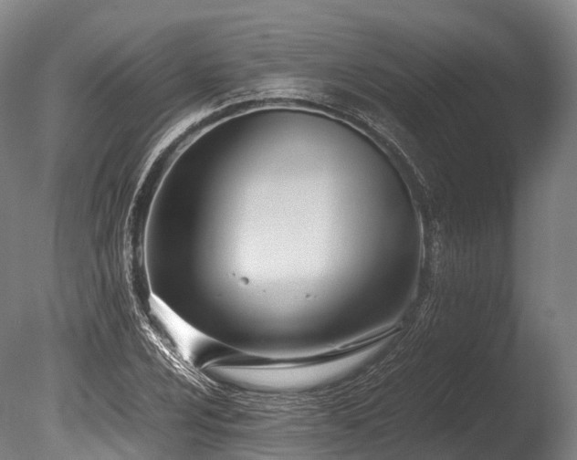 X0000086111024200703231456