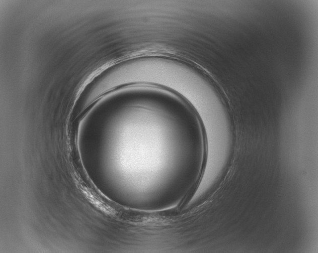 X0000086111026200703231456