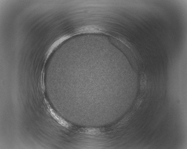 X0000086111030200703231456