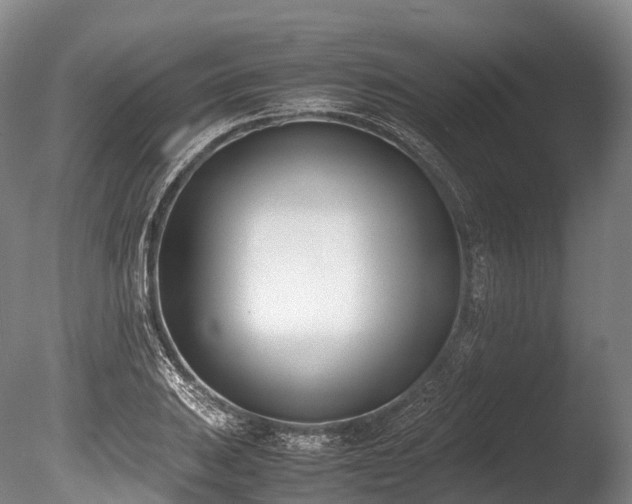X0000086111031200703231456