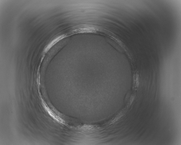 X0000086111034200703231456