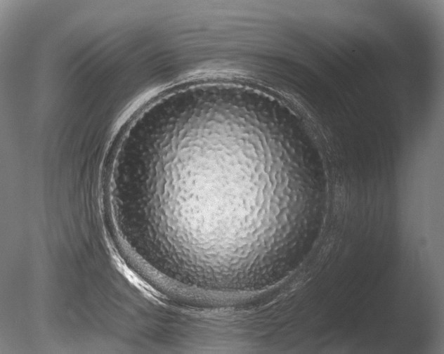 X0000086111038200703231456