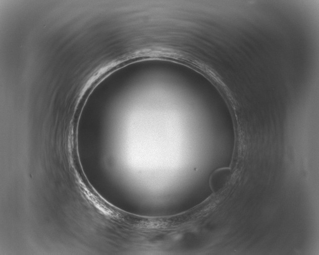 X0000086111040200703231456