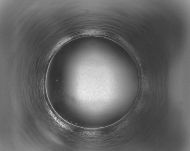 X0000086111041200703231456