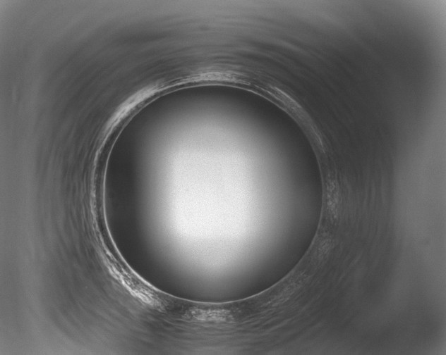 X0000086111043200703231456