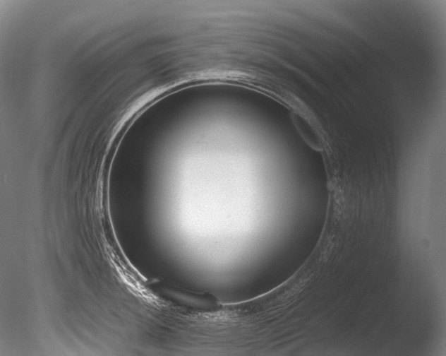 X0000086111044200703231456