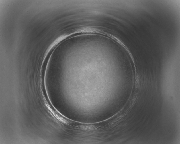 X0000086111045200703231456