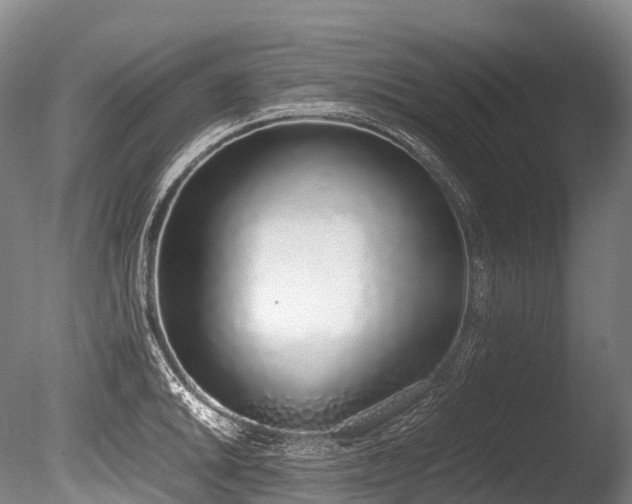 X0000086111046200703231456