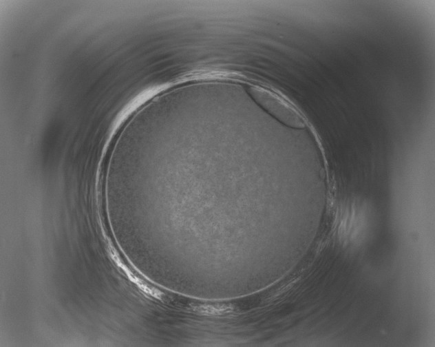 X0000086111053200703231456