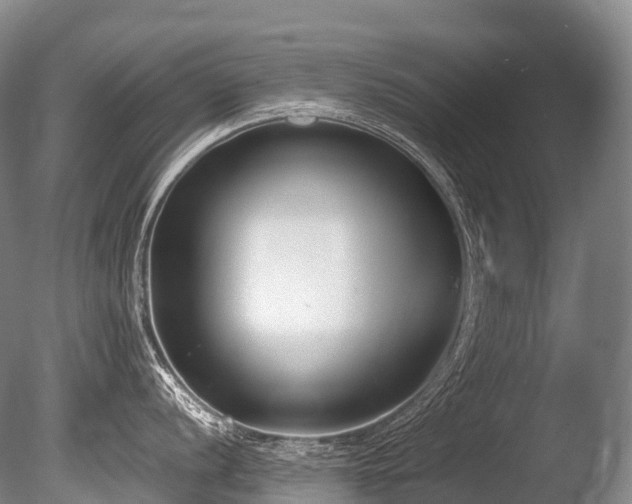 X0000086111056200703231456