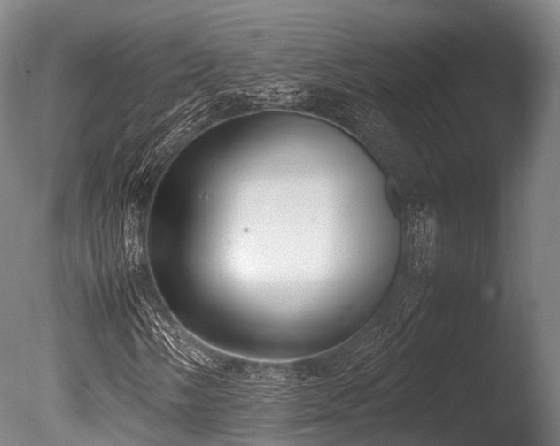 X0000086111058200703231455