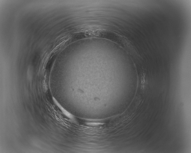X0000086111060200703231455