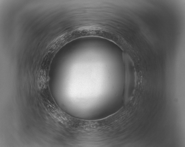 X0000086111062200703231455