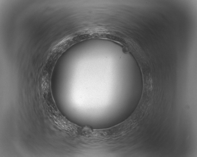 X0000086111063200703231455