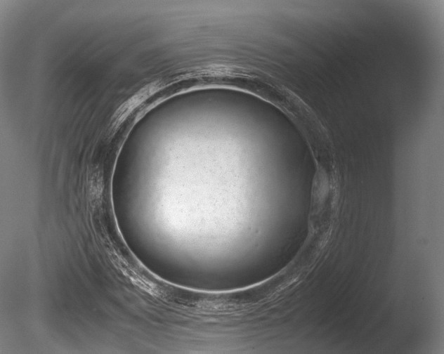 X0000086111065200703231455