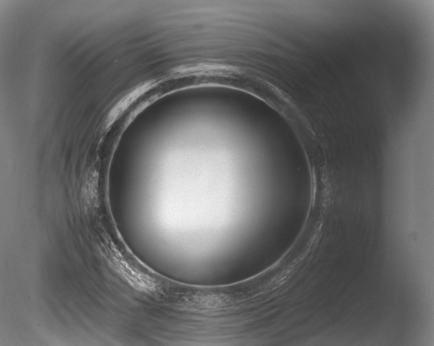 X0000086111066200703231455