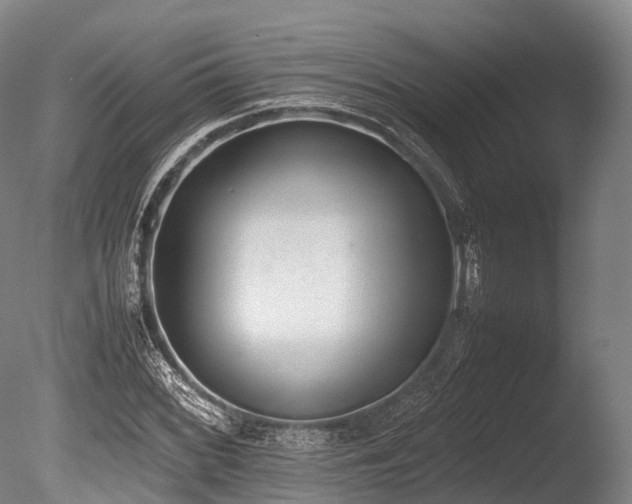 X0000086111068200703231455