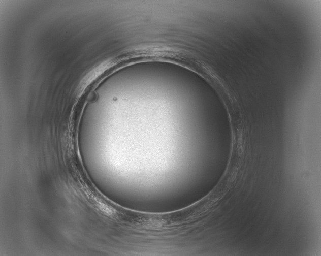 X0000086111071200703231455