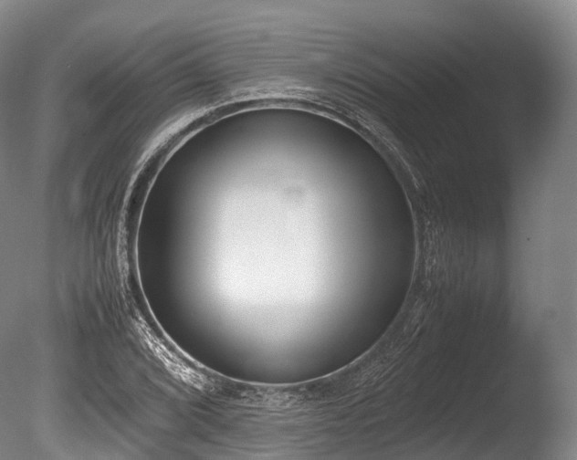 X0000086111072200703231455