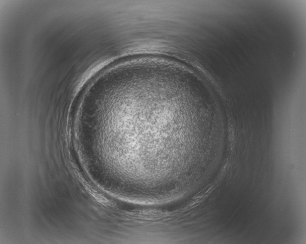 X0000086111077200703231455