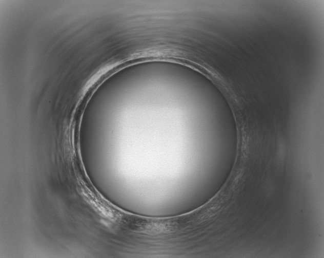 X0000086111078200703231455