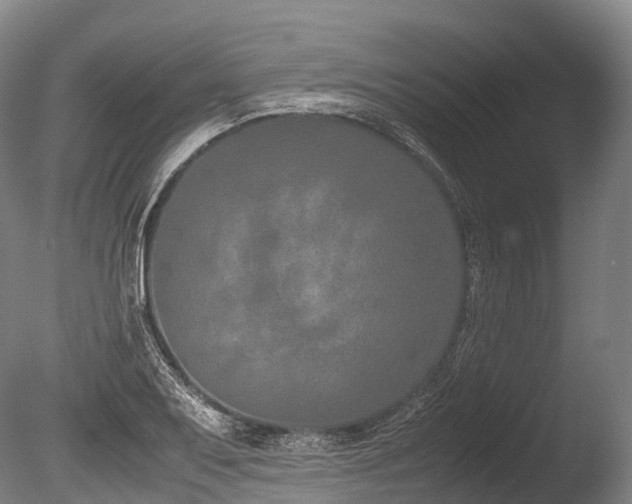 X0000086111079200703231455