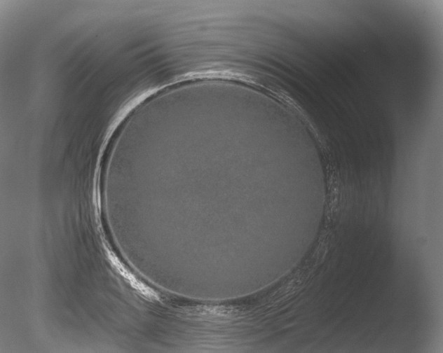 X0000086111084200703231455