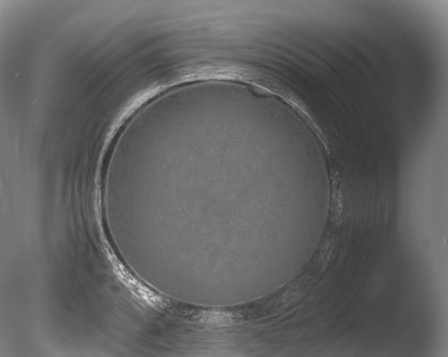 X0000086111088200703231455