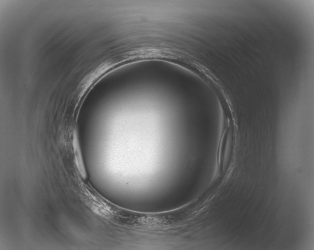 X0000086111089200703231455