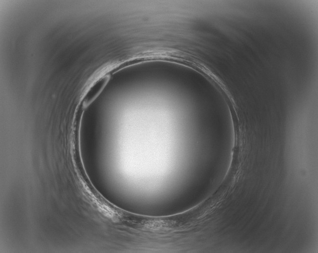 X0000086111093200703231455