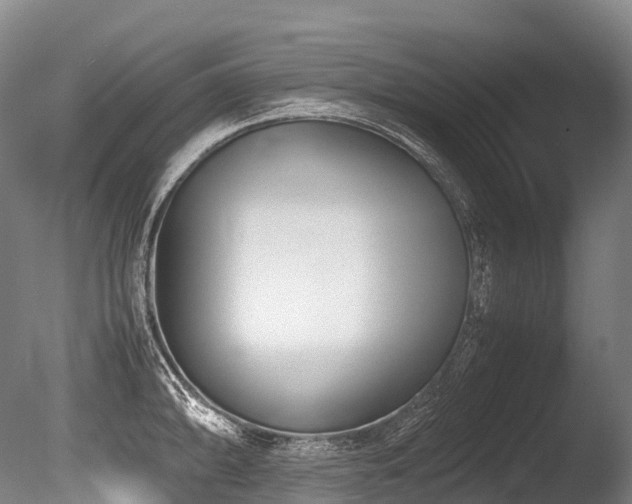 X0000086111094200703231455