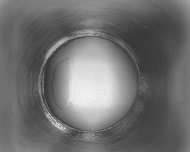 X0000086111098200703231455