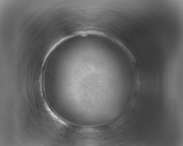X0000086111100200703231455