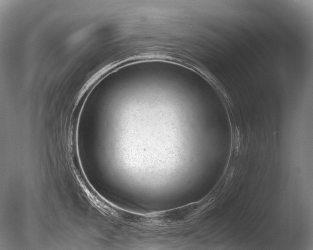 X0000086111101200703231454