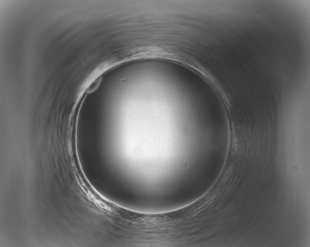 X0000086111102200703231454