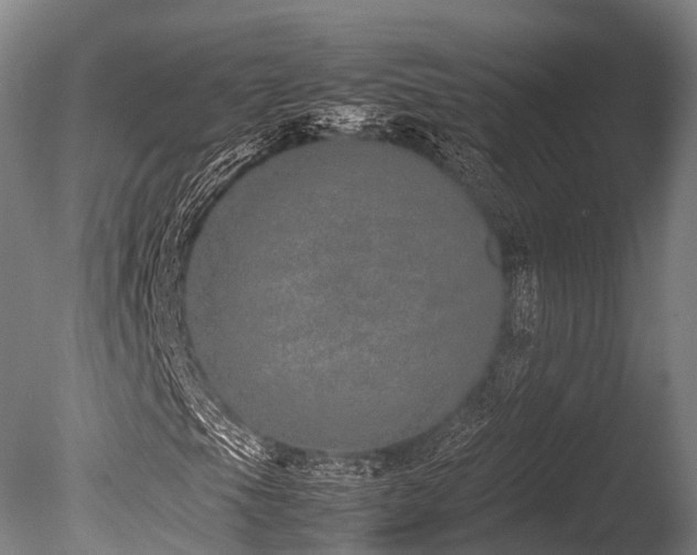 X0000086111105200703231454