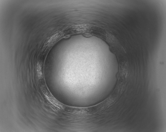 X0000086111106200703231454