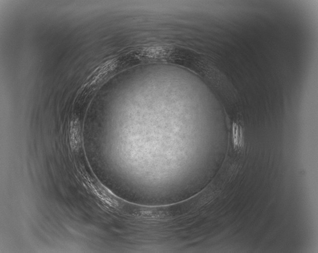 X0000086111107200703231454