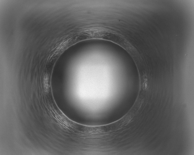 X0000086111108200703231454