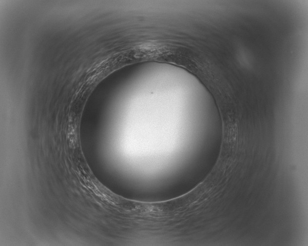 X0000086111109200703231454